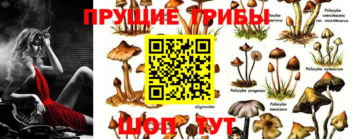 Галлюциногенные грибы MAGIC MUSHROOMS Солнечногорск